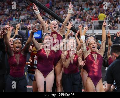 Fort Worth, Texas, USA. 15. April 2023. Die Oklahoma Sooners feiern den Gewinn der NCAA National Collegiate Women's Gymnastics Championships 2023 in der Dickies Arena in Fort Worth, TX. Kyle Okita/CSM/Alamy Live News Stockfoto