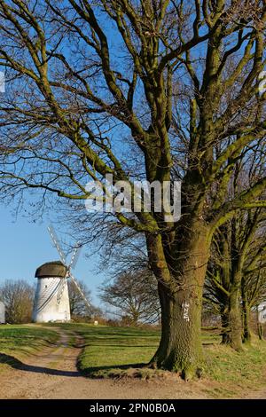 Werk Traar, Egelsberg, Krefeld, NRW, Nordrhein-Westfalen, Deutschland Stockfoto