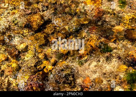 Wasserfälle in Arizona Stockfoto