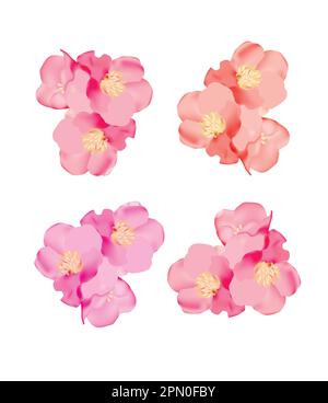 Blumenset mit prächtigen bunten Blüten. Botanische Darstellung des Frühlings auf weißem Hintergrund. Stock Vektor