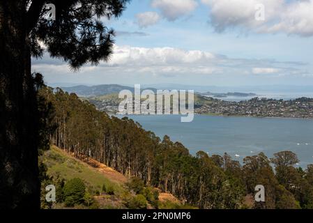 San Francisco Bay, Kalifornien, USA, an einem Tag ohne Nebel vom Morning Sun Trail in Sausalito auf einem sonnigen Wolkenhimmel aus gesehen Stockfoto