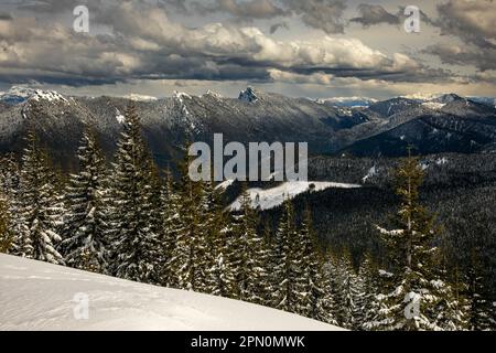 WA23349-00...WASHINGTON - Blick auf den High Rock Aussichtspunkt von High Hut auf den Mount Tahoma Trails in der Nähe von Mount Rainier. Stockfoto