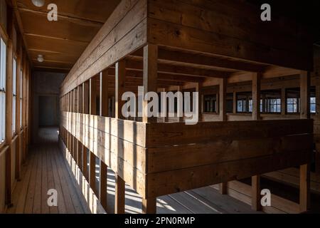 Etagenbetten, die zum Schlafen in den Baracken des Konzentrationslagers Dachau verwendet werden Stockfoto
