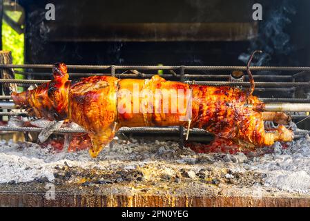 Schweinespieß geröstet. Schwein auf einem Grillspieß geröstet. Grill im Freien im offenen grillbereich. Stockfoto