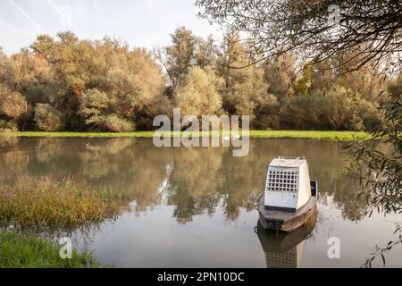 Bild eines verlassenen Ruderboots in blauer Farbe am Ufer des timis in Jabuka, Serbien, während eines sonnigen Sonnenuntergangs. Stockfoto