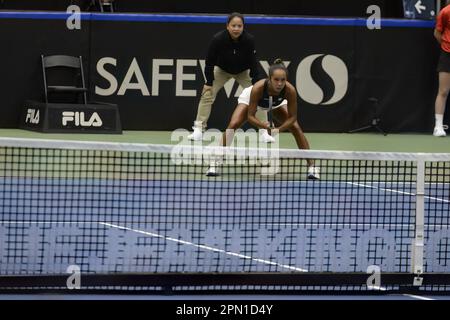 Vancouver, Kanada. 15. April 2023. Kanadische Leylah Fernandez zeigte sich in Aktion bei einem Tennisspiel gegen den belgischen Bovaventure, dem dritten Gummi in der Begegnung zwischen Kanada und Belgien, in den Qualifikationsspielen für den Billie Jean King Cup in Vancouver, Kanada, am Samstag, den 15. April 2023. BELGA FOTO ANNE-MARIE SORVIN Kredit: Belga News Agency/Alamy Live News Stockfoto