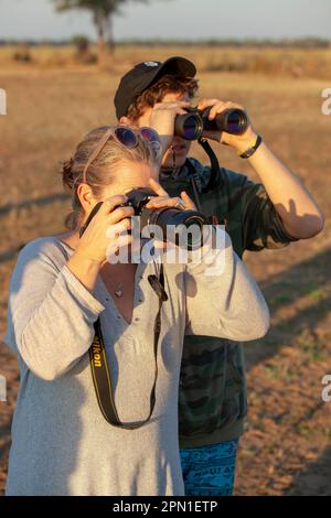 Touristen beobachten und fotografieren Wildtiere in Sambia Stockfoto