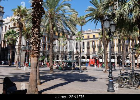 Placa Reial, Königsplatz im Barri Gòtic von Barcelona mit den Menschen, den Palmen und dem Brunnen im Zentrum, Katalonien, Spanien. Stockfoto