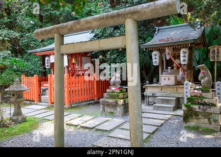 Kyoto Japan 2023. April, Otoyo Jinja-Schrein mit Mäusestatuen, der den Schrein beherbergt, in dem der Gott der Vermittlung zu Gast ist, Kyoto, Japan Stockfoto