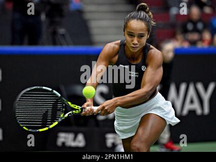 Vancouver, Kanada. 15. April 2023. Leylah Fernandez aus Kanada gibt den Ball am 15. April 2023 im Billie Jean King Cup zwischen Kanada und Belgien in Vancouver, Kanada, an die belgische Ysaline Bonaventure zurück. Kredit: Andrew Soong/Xinhua/Alamy Live News Stockfoto