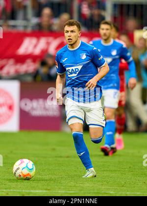 Dennis GEIGER, Hoff 8 im Spiel FC BAYERN MÜNCHEN – TSG 1899 HOFFENHEIM 1-1 1. Deutsche Fußballliga am 15. April 2023 in München. Saison 2022/2023, Spieltag 28, 1. Bundesliga, FCB, BVB, München, 28. Spieltag. © Peter Schatz / Alamy Live News - DFL-VORSCHRIFTEN VERBIETEN DIE VERWENDUNG VON FOTOS als BILDSEQUENZEN und/oder QUASI-VIDEO - Stockfoto