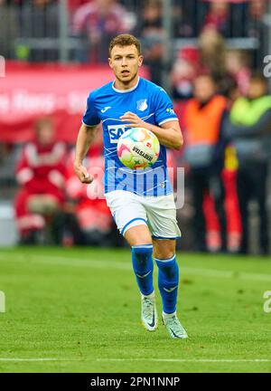 Dennis GEIGER, Hoff 8 im Spiel FC BAYERN MÜNCHEN – TSG 1899 HOFFENHEIM 1-1 1. Deutsche Fußballliga am 15. April 2023 in München. Saison 2022/2023, Spieltag 28, 1. Bundesliga, FCB, BVB, München, 28. Spieltag. © Peter Schatz / Alamy Live News - DFL-VORSCHRIFTEN VERBIETEN DIE VERWENDUNG VON FOTOS als BILDSEQUENZEN und/oder QUASI-VIDEO - Stockfoto