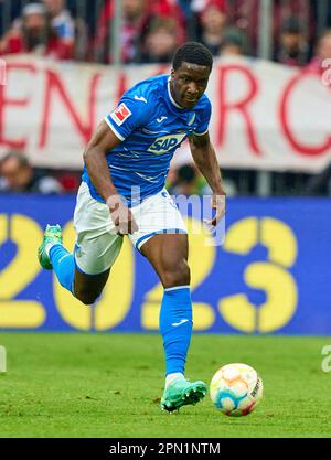 Stanley Nsoki, Hoff 34 im Spiel FC BAYERN MÜNCHEN – TSG 1899 HOFFENHEIM 1-1 1. Deutsche Fußballliga am 15. April 2023 in München. Saison 2022/2023, Spieltag 28, 1. Bundesliga, FCB, BVB, München, 28. Spieltag. © Peter Schatz / Alamy Live News - DFL-VORSCHRIFTEN VERBIETEN DIE VERWENDUNG VON FOTOS als BILDSEQUENZEN und/oder QUASI-VIDEO - Stockfoto