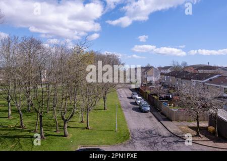 stadthäuser am abbotsford Drive, Glenrothes Stockfoto