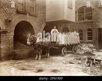 Ein Pferdewagen der Hull Brewery Company in der Brauerei in Silvester Street, Kingston upon Hull, East Yorkshire, England, uk, c.1910. Der Fahrer steht auf einem vierrädrigen, flachen Dray oder rully. Er ist mit Jutesäcken gefüllt, die entweder Hopfen oder Gerste enthalten. Im Jahr 1887 wurde die Hull Brewery Company Limited gegründet, und 1890 besaß das Unternehmen 160 lizenzierte öffentliche Häuser – ein altes viktorianisches/edwardianisches Foto. Stockfoto