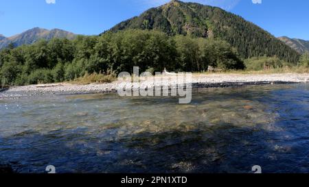 Winziger, klarer, kalter Bach mit Kieselfelsen in den Arkhyz Bergen - Foto der Natur Stockfoto