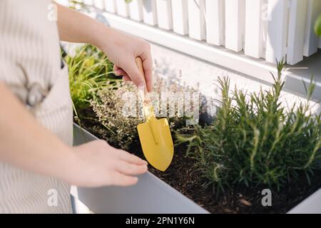 Nahaufnahme einer Frau mit einer kleinen gelben Schaufel, um Boden in einem Blumentopf zu graben. Makro Stockfoto