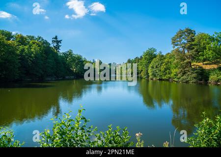 Deutschland, Stuttgarter Stadtpark baerensee See Wasser reflektiert grüne Bäume Naturlandschaft blauer Himmel Sommer perfekte Wanderlandschaft Paradies Stockfoto