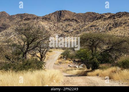 Ein Donga oder ein trockenes Tal mit einem trockenen Flussbett auf dem Grund der Berge in Namibia Stockfoto