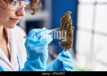 Junge hispanische Wissenschaftlerin hält Marihuana-Pflanze mit Pinzette im Labor Stockfoto