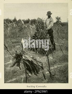 Stacking Cornstalks Jamestown, Virginia aus dem Buch " Highways and Byways of the South " von Clifton Johnson, 1865-1940 Veröffentlichungsdatum 1904 Publisher New York, The Macmillan Company; London, Macmillan and co., Limited Stockfoto