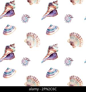 Ein Muster von Schalen. Aquarelldarstellung. Collage. Meerestiere. Die Bewohner des Ozeans Stockfoto