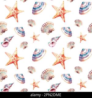 Nahtloses Muster von Meerestieren. Eine Komposition aus Muscheln und Sternen. Aquarelldarstellung auf einem isolierten Hintergrund. Unterwasserwelt. Beach holi Stockfoto