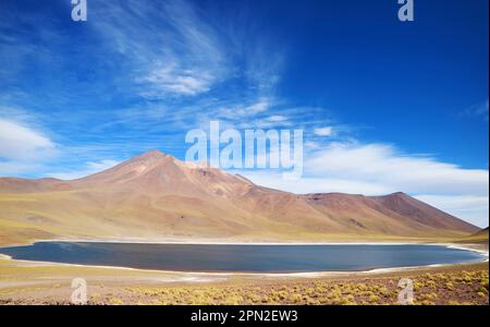 Laguna Miniques, eine der atemberaubenden tiefen blauen Lagunen auf dem altiplano von Antofagasta im Norden Chiles, Südamerika Stockfoto