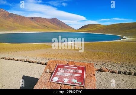 Laguna Miniques Lake mit Informationstafel, gelegen in der region altiplano von Antofagasta, Los Flamencos National Reserve, Chile, Südamerika Stockfoto