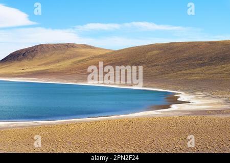 Herrliche tiefblaue Lagune von Laguna Miniques, gelegen im altiplano von Antofagasta, Los Flamencos Nationalreservat, Chile, Südamerika Stockfoto