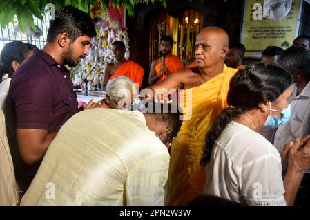 Colombo, Sri Lanka. 16. April 2023. Amtsinhaber des Tempels Kotte Rajamahavihara salbt die Anhänger der Ölsalbungszeremonie, eine Tradition des Sinhala- und Tamil-Neujahrs im Kotte Rajamahavihara-Tempel in Colombo (Foto von Ruwan Walpola/Pacific Press). Kredit: Pacific Press Production Corp./Alamy Live News Stockfoto