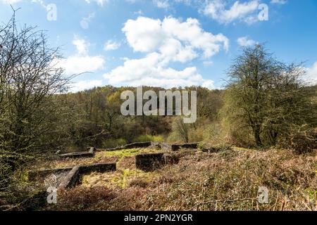 Darkhill Iron Works, die Wiege der indistrischen Stahlherstellung, Forest of Dean, Gloucestershire. UK Stockfoto