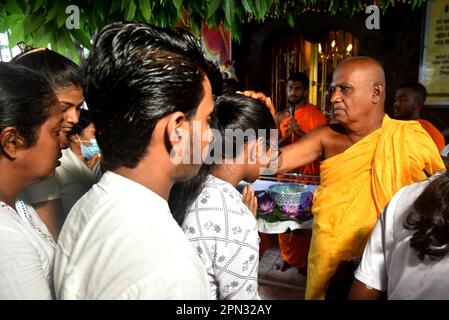 16. April 2023, colombo, sri lanka, Sri Lanka: Der Chefarzt des Tempels Kotte Rajamahavihara salbt die Anhänger der Ölsalbung, eine Tradition des Singhala- und Tamilen Neujahrs im Kotte Rajamahavihara-Tempel in Colombo (Kreditbild: © Ruwan WALEDIPOLA/Pacific Press Wire) NUR ÜBER ZUMIAL Wire! Nicht für den kommerziellen GEBRAUCH! Kredit: ZUMA Press, Inc./Alamy Live News Stockfoto