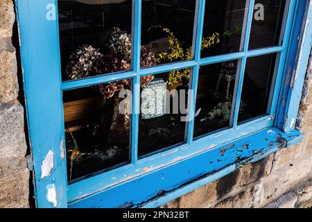 Getrocknete Blumen hinter einem verwitterten blauen Fensterrahmen. Konzept von farbenfroh, gefühlvoll, Retro, künstlerisch, Stil, Grunge, antik.