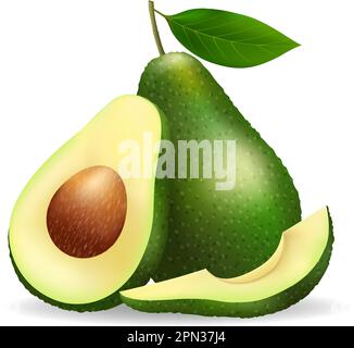 Avocado realistische Illustration Stock Vektor