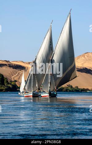 Abu Simbel, Assuan, Ägypten - April 18 2008: Feluccas - traditionelles ägyptisches Boot - auf dem Nil, Ägypten. Stockfoto