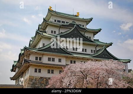 Schloss Nagoya, Chubu, Japan Stockfoto