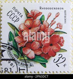 ISTANBUL, TÜRKEI - 03. JANUAR 2021: Stempel der Sowjetunion zeigt die Blume der Karpaten, Rhododendron kotschyi um 1981 Stockfoto
