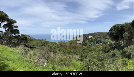 Marokko: Blick vom Cape Spartel Lighthouse (1864) auf den Vorsprung am Eingang zur Straße von Gibraltar, dem nordwestlichsten Punkt des afrikanischen Kontinents Stockfoto
