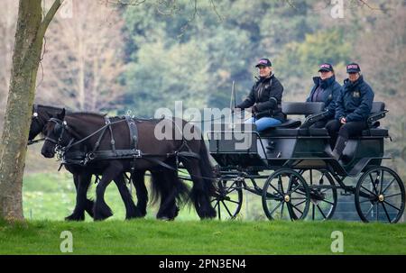 Windsor, Berkshire, Großbritannien. 15. April 2023. Vor der Royal Windsor Horse Show nächsten Monat sah Sophie, Herzogin von Edinburgh, glücklich aus, als sie heute mit der Kutsche im Windsor Great Park fuhr. Sowohl die Herzogin von Edinburgh als auch ihre Tochter Lady Louise genießen Kutschfahrten, die auch ein beliebter Zeitvertreib des verstorbenen Prinzen Philip, des Herzogs von Edinburgh, waren. Kredit: Maureen McLean/Alamy Live News Stockfoto