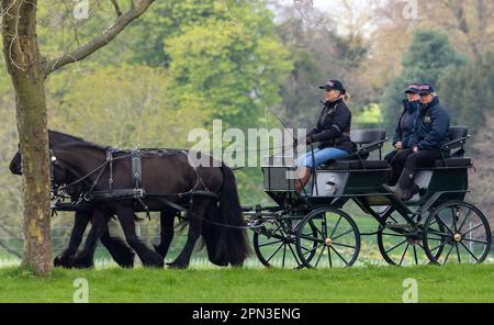 Windsor, Berkshire, Großbritannien. 15. April 2023. Vor der Royal Windsor Horse Show nächsten Monat sah Sophie, Herzogin von Edinburgh, glücklich aus, als sie heute mit der Kutsche im Windsor Great Park fuhr. Sowohl die Herzogin von Edinburgh als auch ihre Tochter Lady Louise genießen Kutschfahrten, die auch ein beliebter Zeitvertreib des verstorbenen Prinzen Philip, des Herzogs von Edinburgh, waren. Kredit: Maureen McLean/Alamy Live News Stockfoto