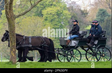 Windsor, Berkshire, Großbritannien. 15. April 2023. Vor der Royal Windsor Horse Show nächsten Monat sah Sophie, Herzogin von Edinburgh, glücklich aus, als sie heute mit der Kutsche im Windsor Great Park fuhr. Sowohl die Herzogin von Edinburgh als auch ihre Tochter Lady Louise genießen Kutschfahrten, die auch ein beliebter Zeitvertreib des verstorbenen Prinzen Philip, des Herzogs von Edinburgh, waren. Kredit: Maureen McLean/Alamy Live News Stockfoto