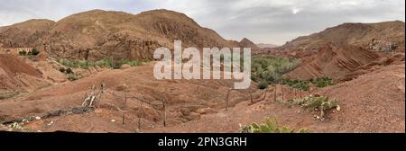 Marokko, Afrika: Rote Berge und Sukkulenten mit einem der atemberaubenden Tondörfer im grünen Dades-Tal in der Nähe von Boumalne Dades und Dades-Schlucht Stockfoto