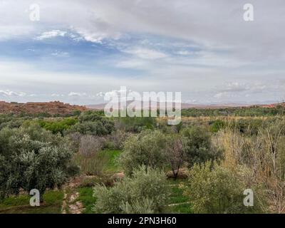 Marokko: Eines der atemberaubenden Tondörfer im grünen Dades-Tal in der Nähe der Boumalne Dades und der Dades-Schlucht, geschnitzt vom Dades-Fluss Stockfoto