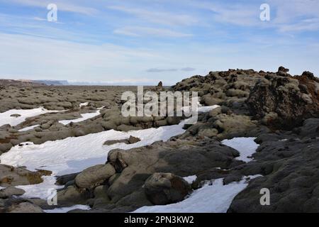 Mit Moos bedeckte Lava in Südisland Stockfoto