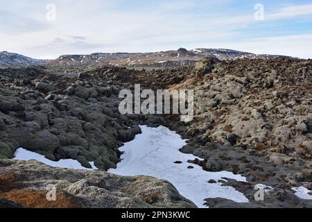Mit Moos bedeckte Lava in Südisland Stockfoto