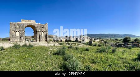 Marokko, Afrika: Blick auf den Triumphbogen, der von Marcus Aurelius Sebastianus zu Ehren von Caracalla in Volubilis, einer römischen Ausgrabungsstätte, erbaut wurde Stockfoto