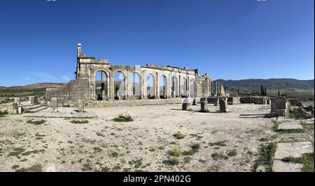 Marokko, Afrika: Die Überreste der römischen Basilika in Volubilis, der berühmtesten römischen archäologischen Stätte Marokkos in der Nähe von Meknes, Stockfoto