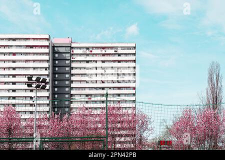 Wohngebäude im Hintergrund vor dem blauen Himmel. Rosa blühende Bäume. Ballnetze, eine Uhr und Scheinwerfer auf dem örtlichen Sportplatz Stockfoto