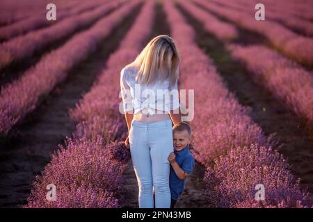 Der kleine Sohn versteckt sich hinter der Mutter. Junge Frau und Junge gehen durch die Reihen des lilavendelfarbenen Feldes und pflücken Bouquet. Spaziergänge auf dem Land. Vertrauen, Stockfoto